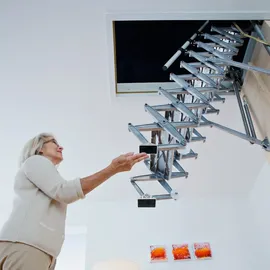 Roto Frank Treppen GmbH Scherentreppe Exklusiv 250 cm Aluminium/Kunststoff