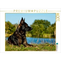 Calvendo Deutscher Schäferhund Puzzle