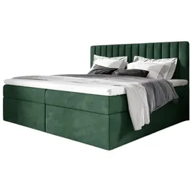 Fun Möbel Boxbett, Grün inkl. Bettkasten