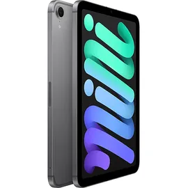 Apple iPad mini (7. Generation 2024) 512 GB Wi-Fi + Cellular Space Grau