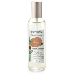 Esteban Duftzerstäuber Wilder zeder Raumduft 100 ml 