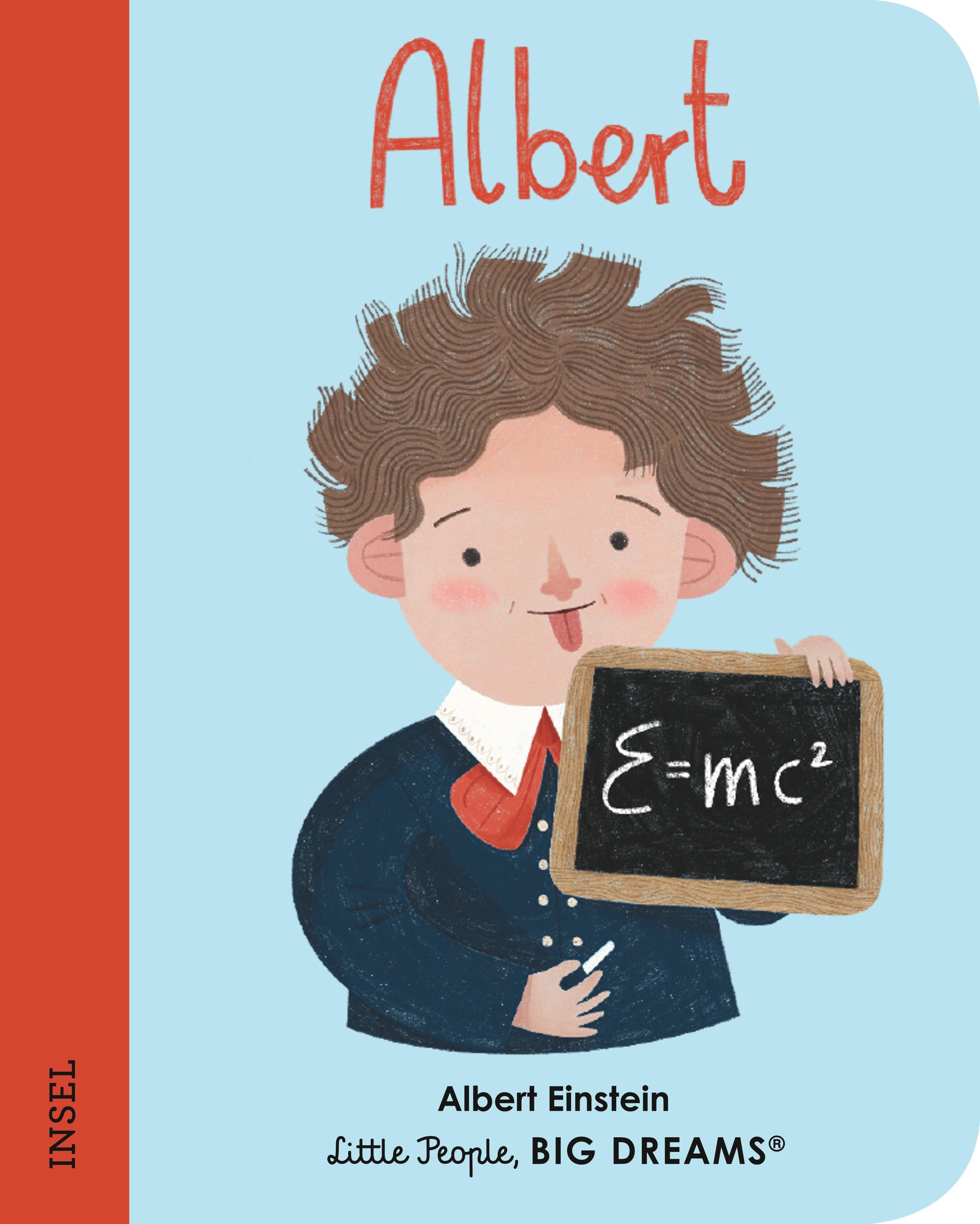 Albert Einstein Buch 1 St