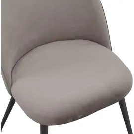 Albatros Esszimmerstuhl CAPO Samt grau 4er Set