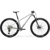 Merida Big.Nine TR 5000 2025 29 Zoll RH 50 cm grau