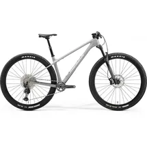 Merida Big.Nine TR 5000 2025 29 Zoll RH 50 cm grau