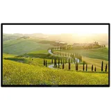 Alphatronics SL-24 DSBAI+ 24" LED Full HD TV