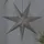 Star Trading Weihnachtsstern Ozen 100 cm grau