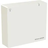 Busch-Jaeger System Access Point SAP.13-WL 2CKA006200A0967 3 St.