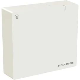 Busch-Jaeger System Access Point SAP.13-WL 2CKA006200A0967 3 St.