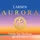 Larsen Strings Violin-Saiten 4/4 Aurora - Einzelsaite E - ball end - Medium