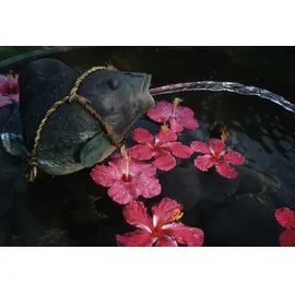 PONTEC PondoCompact 2000