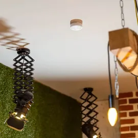 Shelly Plus Smoke - WLAN Rauchmelder - 6er-Set (+12 Monate GRATIS Shelly Premium)