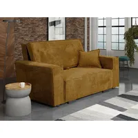 MIRJAN24 Schlafsofa Viva Star II, mit Schlaffunktion und Bettkasten, 2 Sitzer, inkl. Kissen braun