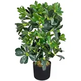 Decovego Kunstpflanze Schefflera Arboricola, im Topf, Höhe 60 cm