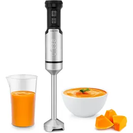 Ufesa Galaxy 1500 Stabmixer