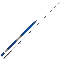 WFT Electra Speed Jig 2,00m 30lbs Pilkrute Bootsrute