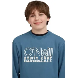 O'Neill Essentials Mozart Blue 116
