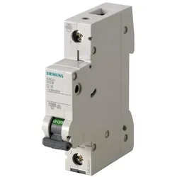 Siemens Dig.Industr. Leitungsschutzschalter 5SL4113-6