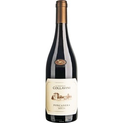 18er Set Collavini Merlot Poncanera 2022 - Versandkostenfrei!