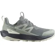 Salomon Herren Multifunktionsschuhe SHOES ELIXIR ACTIV GTX Sedsa/Wrought Iro, Größe 45 1⁄3 in Grau Sedona Sage/Wrought Iron/Nine Iron