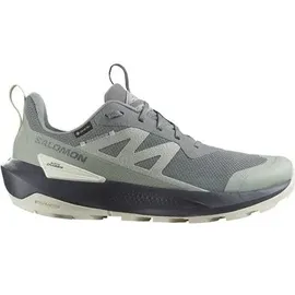 Salomon Herren Multifunktionsschuhe SHOES ELIXIR ACTIV GTX Sedsa/Wrought Iro, Größe 45 1⁄3 in Grau Sedona Sage/Wrought Iron/Nine Iron