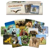 Starnberger Spiele Einzigartig Bedrohte Tierarten Memospiel