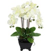 Kunstblume »Künstliche Orchidee in Schale Phalaenopsis Kunstblume Blume«, weiß