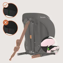 lionelo Levi Fix i-Size Rosa
