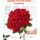 Vevor Künstliche Blumen Rosen, 500 Stück Kunstblumen, Rote Gefälschte Rose mit Stielen, Schaumrosen für DIY Hochzeit Blumensträuße Braut Valentinstag Muttertag Zuhause Dekoration