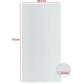 Zelsius Hohlkammerstegplatte 4 mm 113 x 60,5 cm Gewächshaus Ersatzplatte #2