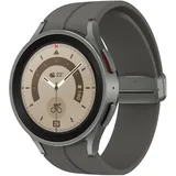 Grey Titanium 45 mm BT D-Buckle Sport Band Grey M/L