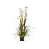 Mica decorations Mica Kunstpflanze Federgras Foxtail im Topf grün, 120 x 45 cm