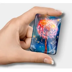 Cover Minder - Fly away by night