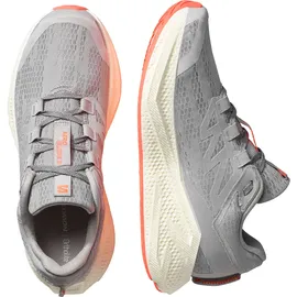 Salomon Aero Glide 3 Herren Grau / Silber 44