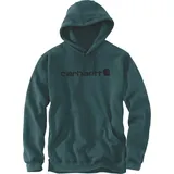 CARHARTT Signature Logo Midweight Hoodie, schwarz-grün, Größe L