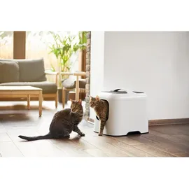 Rotho BIALA Katzentoilette