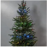 Star Trading LED-Lichterkette Akku 270x140 cm Mehrfarbig
