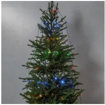 Star Trading LED-Lichterkette Akku 270x140 cm Mehrfarbig