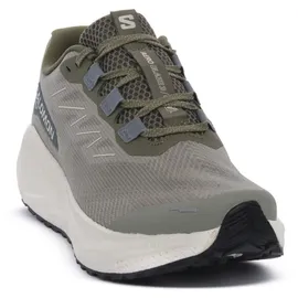 Salomon Aero Blaze 3 GRVL Herren Grün/Beige 45