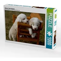 Calvendo Border Collie Welpen 1000 Teile Puzzle quer |