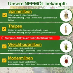 Power Neemöl gegen Spinnmilben mit Emulgator, sprühfertige Mischung für 25l Mischung, 250ml