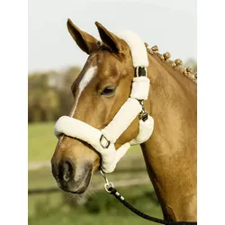 Busse Halfter GUARD