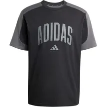 adidas Collegiate T-Shirt Herren T-Shirt, schwarz - 4XL