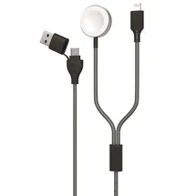 2Go 2in1 USB/Type C MagSafe 1 Grau