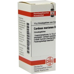 Carduus Mar D 6 10 G