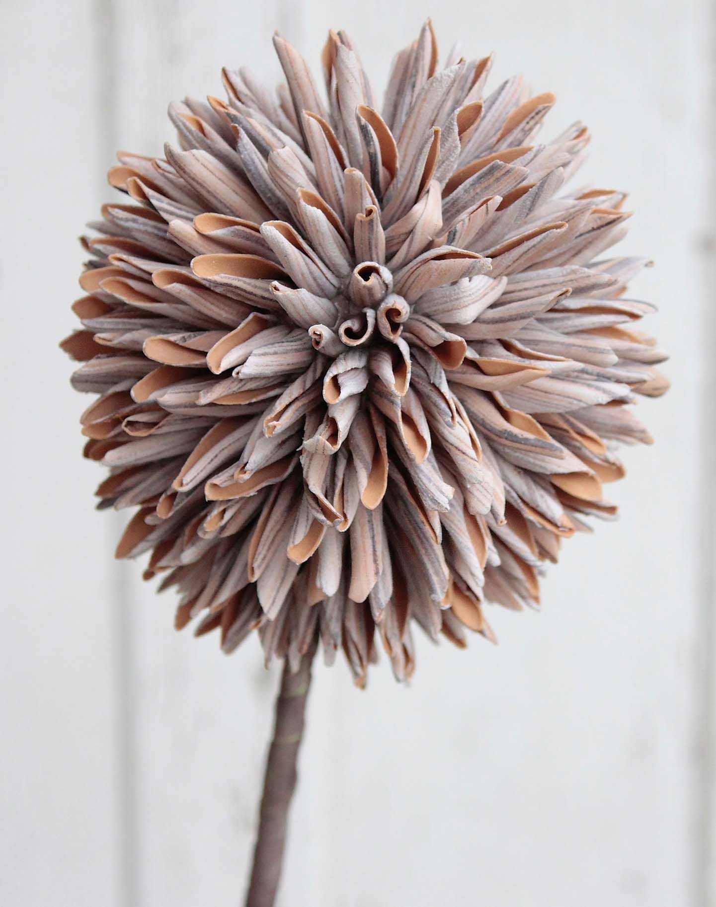 Kunstblume ALLIUM - beige