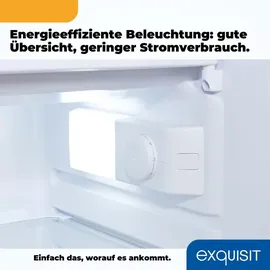 Exquisit KS16-4-HE-040D Kühlschrank (109 l, 850 mm hoch, Inoxlook)