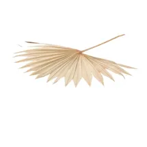 NaDeco Palmenblatt 'Sun', groß, Breite ca. 30-50 cm, Länge ca. 35-60 cm | Palm Sun | Palmenblatt | Palmenwedel | Palmenzweig | Beachbar-Deko | Beachclub | Strandbar-Deko | Boho-Style | Boho-Deko