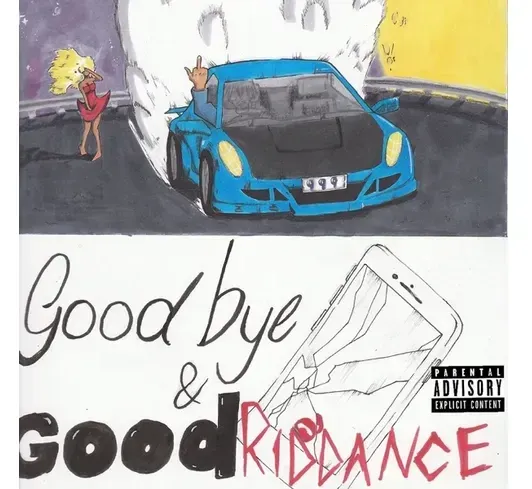 Goodbye & Good Riddance (Vinyl)