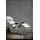 jan kurtz Fiam Amida Relaxliege 110 x 62 x 65 cm weiß